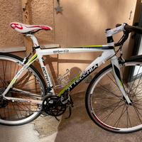 Bottecchia duello