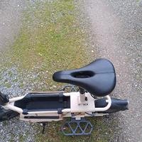 monopattino elettrico