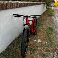 Bicicletta mountain bike lombardo