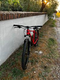 Bicicletta mountain bike lombardo