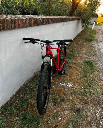 Bicicletta mountain bike lombardo