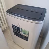 Pinguino Electrolux