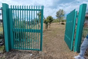 Terreno (vigneto e bosco alto)