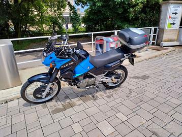 Kawasaki KLE 500 2003 - LEGGI BENE