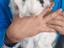 Immagine 4