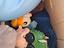 Immagine 4