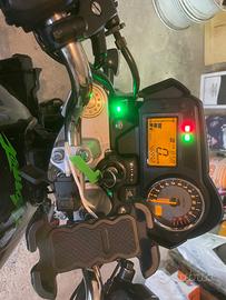 Honda hornet 600 anno 2006