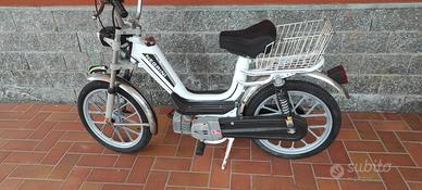 motorino 50