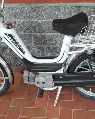 motorino 50