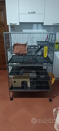 accessori per animali