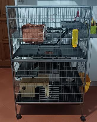 accessori per animali