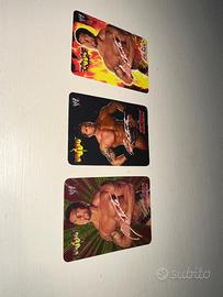CARTE COLLEZIONE WRESTLING WWE RAW ITA 2004