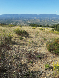 Terreno agricolo