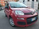 fiat-panda-