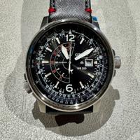 Citizen Eco-Drive Promaster WR200