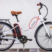 bici elettrica