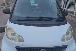 Smart For Two