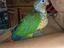 Immagine 2