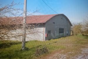 Capannone artigianale