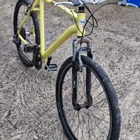 mountain bike