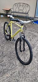 mountain bike