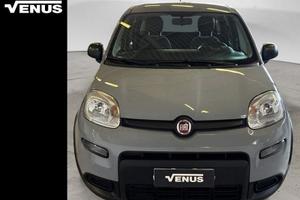 FIAT Panda III 2021 1.0 firefly hybrid s&s 70cv