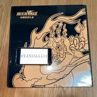Pokemon collezione charizard vmax cinese