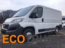 fiat-ducato-tetto-basso