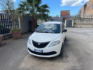 Lancia Y elefantino pari a nuovo