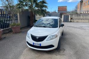 Lancia Y elefantino pari a nuovo