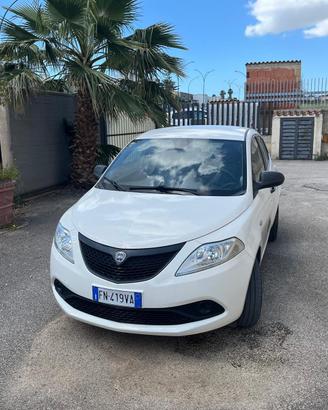 Lancia Y elefantino pari a nuovo