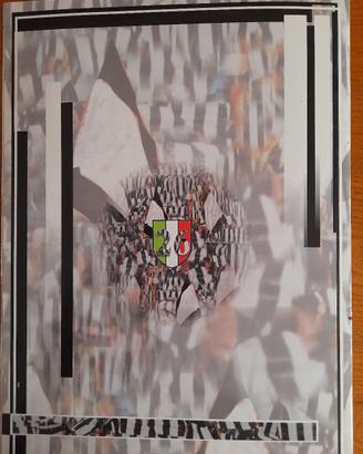 Folder completo