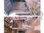 Immagine 12