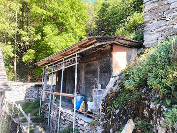 Pollaio e orto a gestione gratuita