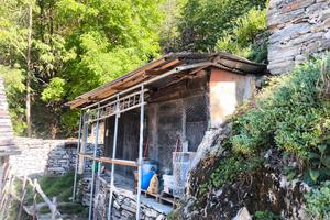 Pollaio e orto a gestione gratuita