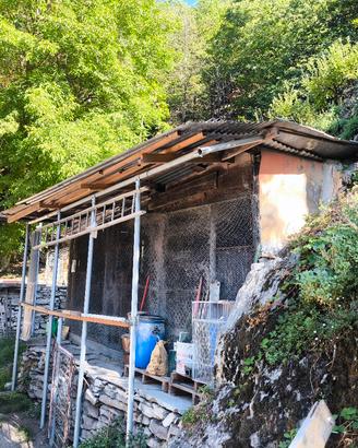 Pollaio e orto a gestione gratuita