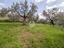 Immagine 15