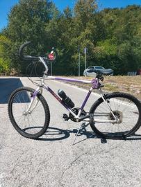 Mountain-bike
