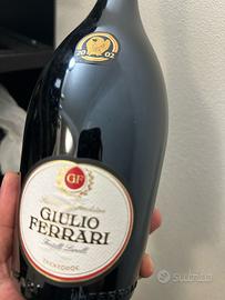 Giulio Ferrari Riserva del Fondatore 2002