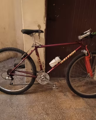 Mountain bike 