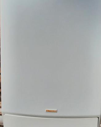 caldaia immergas Victrix Zeus  27