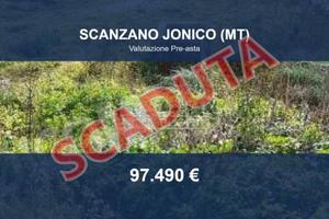 Immobile in asta di 79225 m² a Scanzano Jonico