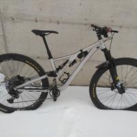 mtb enduro specialized stumpjumper evo tg. s2