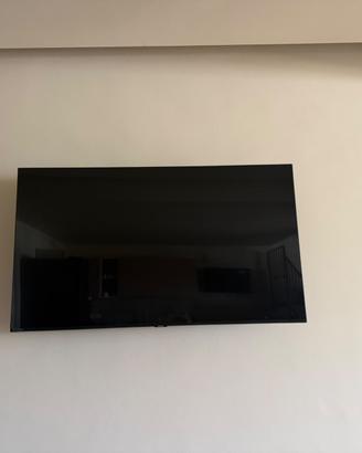 Televisore Tv LG 55 pollici ultima generazione