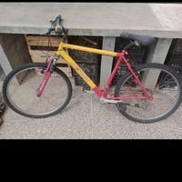 Bicicletta vintage ALTON – telaio bicolore, funzio