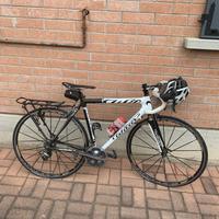 Bicicletta Wilier Triestina