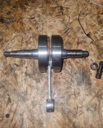 albero stage 6  HPC c. 45
