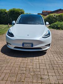  Tesla Model Y RWD Premium 2024