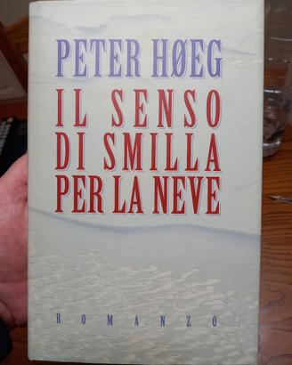 Il senso di Smilla per la neve.