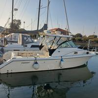 barca americana pursuit 28